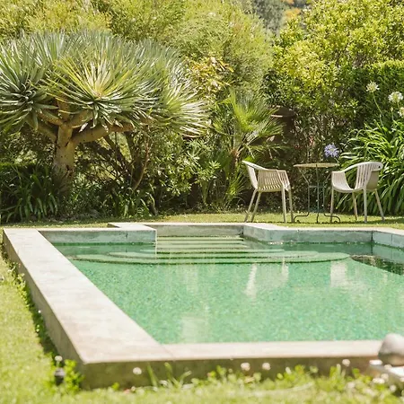 Casa Da Muda بونتا دو بارغو